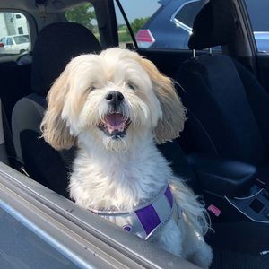 Meet your Posher, Brett